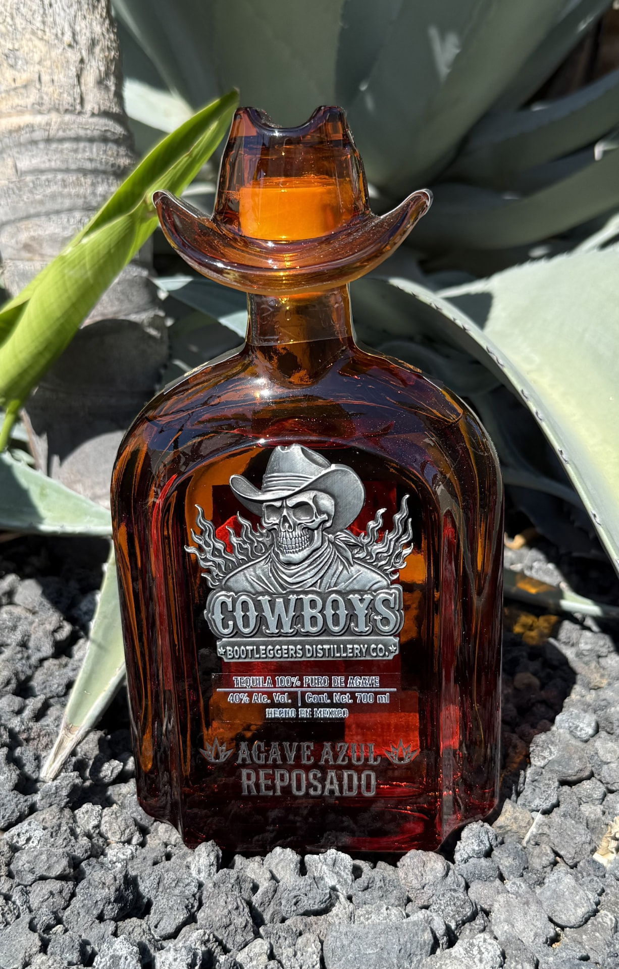 A bottle of Cowboys Reposado resting on volcanic rocks in front of blue agave