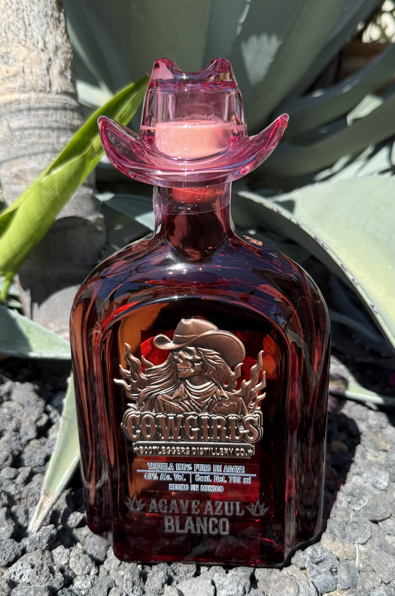 A bottle of Cowgirls Reposado with a rose label resting on volcanic rocks beside blue agave