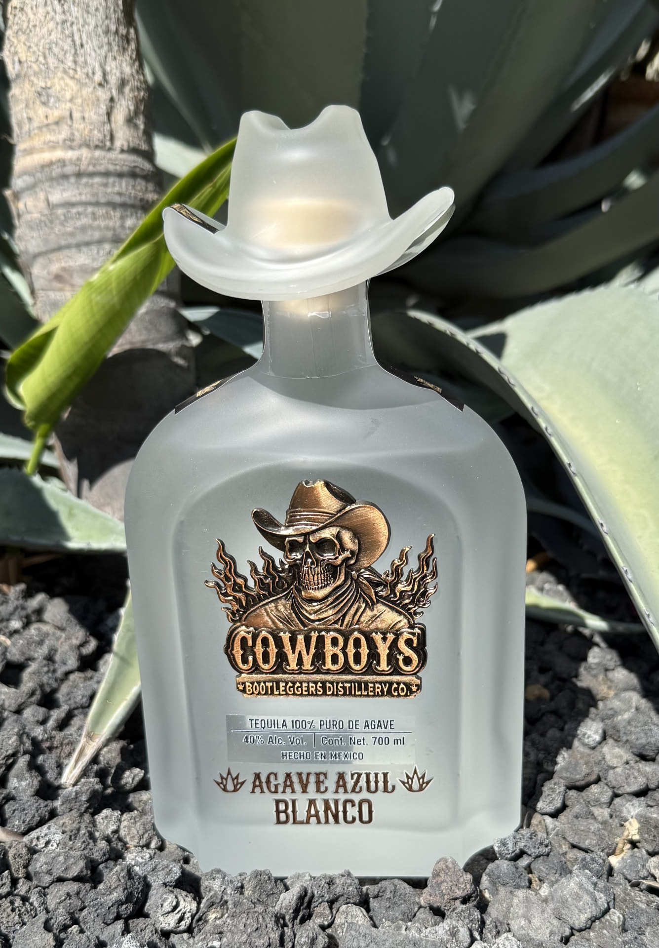 A bottle of Cowboys Blanco with a silver label standing among blue agave leaves